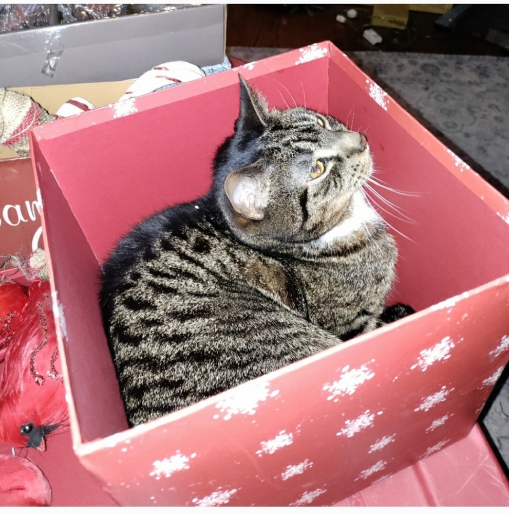 If It Fits It Ships Flyer